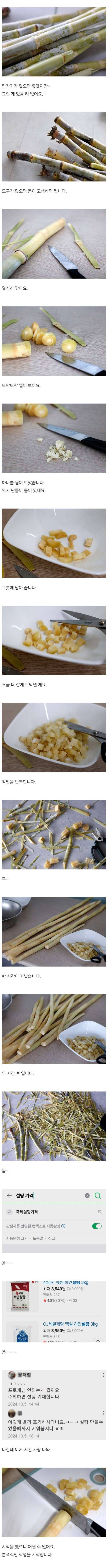 사탕수수로 설탕 짜보기 | 인스티즈