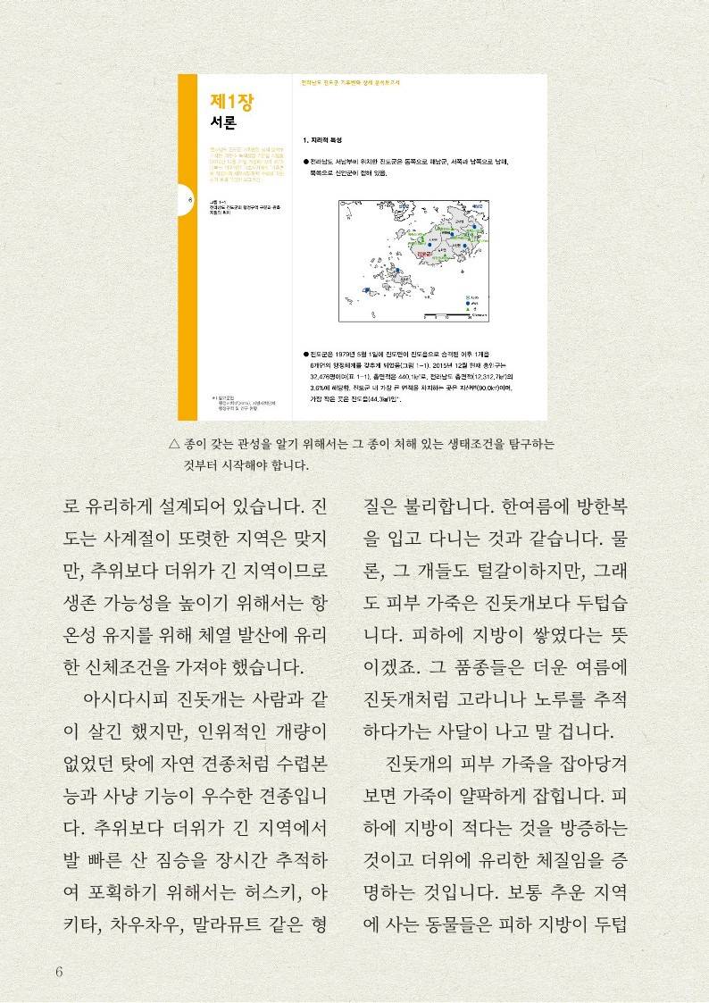 나만 몰랐던 '진돗개' 이야기ㅠㅠ | 인스티즈