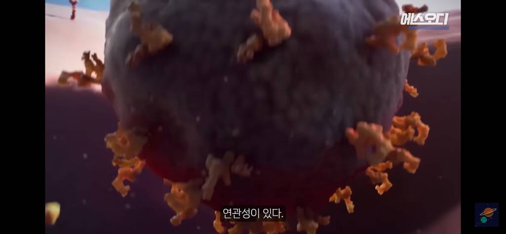 이름이 외모에도 영향을 준다는 논문 | 인스티즈