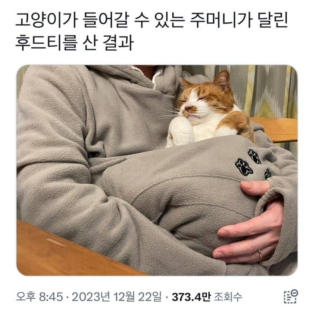 고양이가 들어갈수있는 후드티를 샀다 | 인스티즈