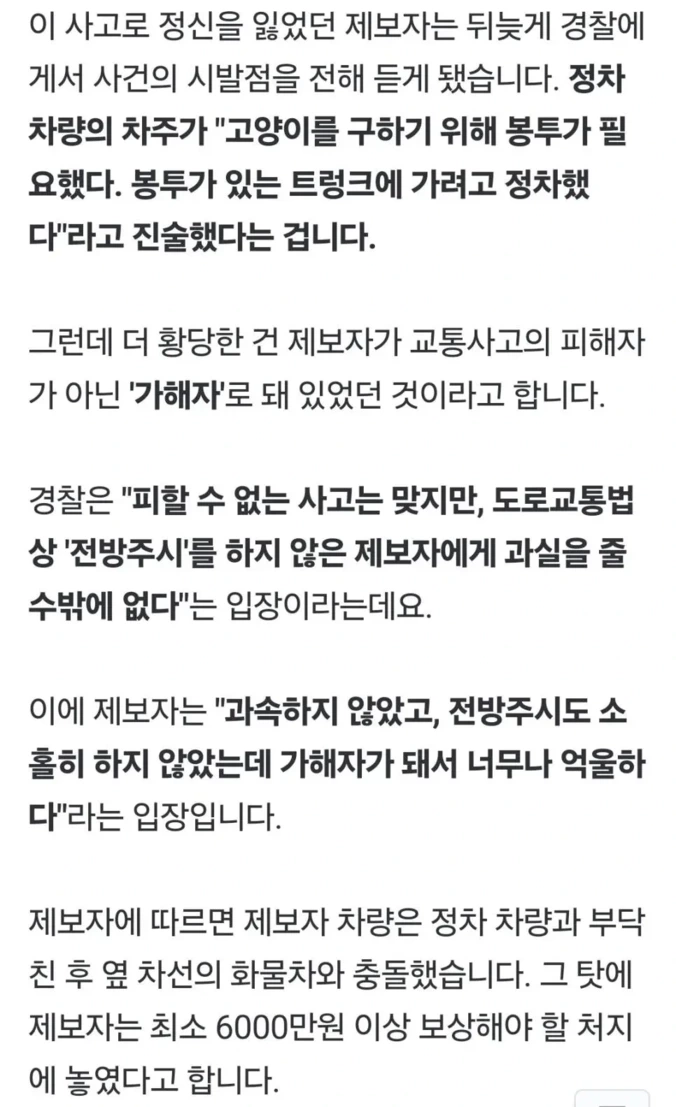 고양이 구하려고 고속도로 1차로에서 정차한 차량 | 인스티즈