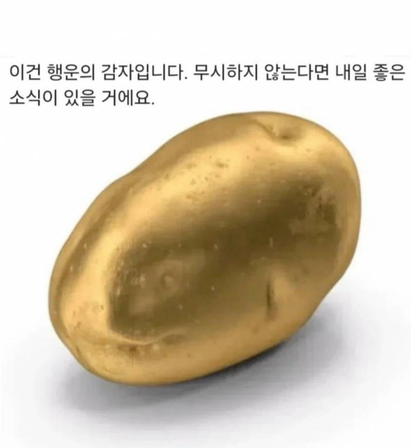 아 진짜 너무 억지다 '행운의 감자' 뭐 이런게 다있음?; | 인스티즈