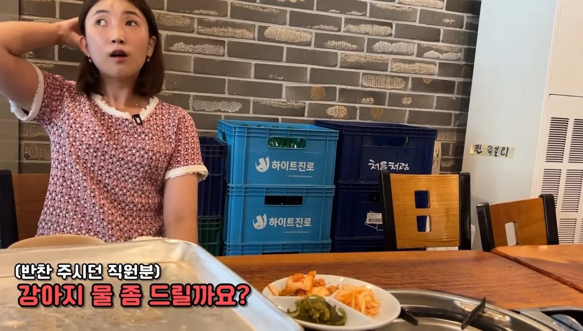 안내견이 식당에 들어오자 일부러 큰 목소리로 얘기하시는 사장님.jpg | 인스티즈