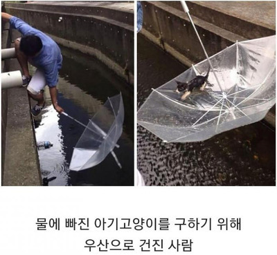 인류애 가득 채워주는 사진들.jpg | 인스티즈