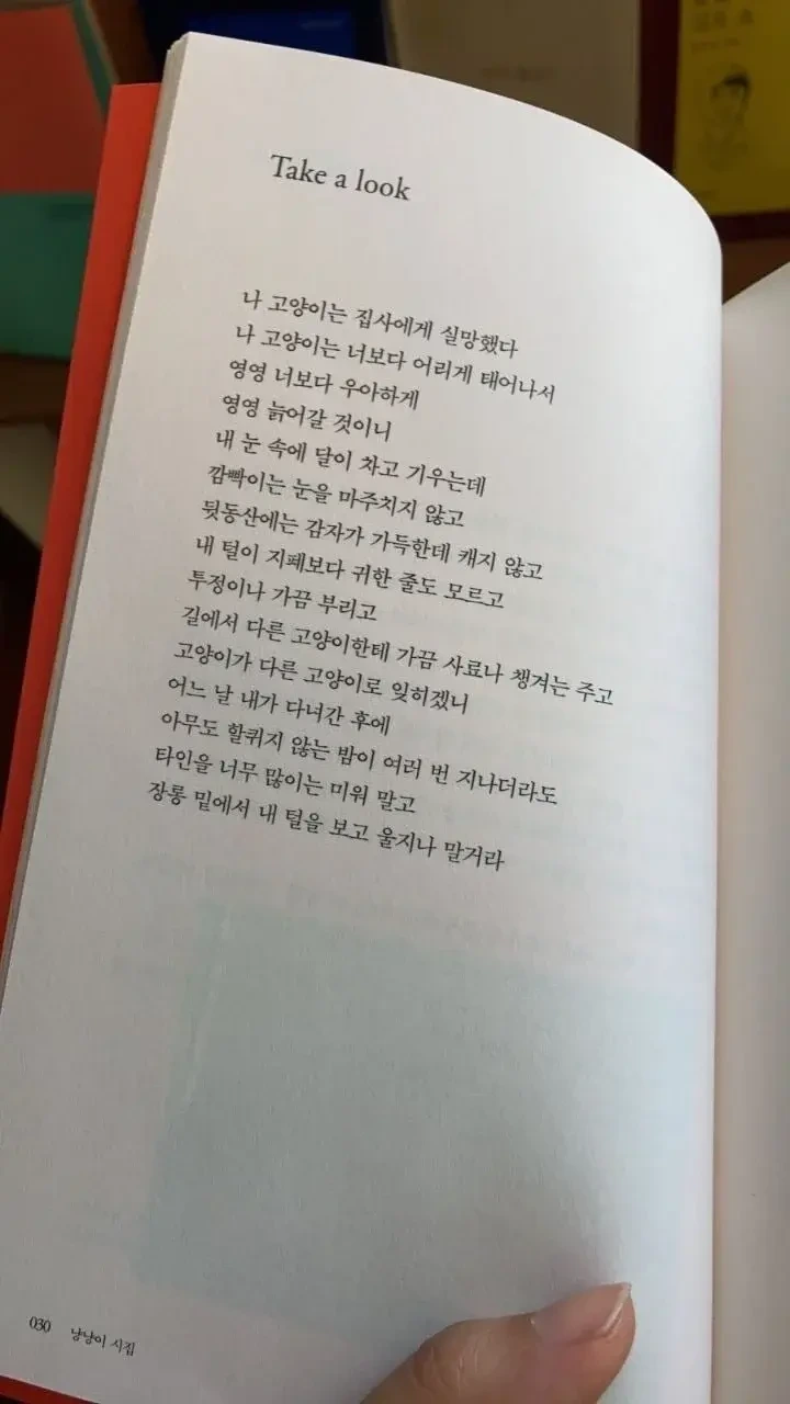 나 고양이는 집사에게 실망했다.jpg | 인스티즈