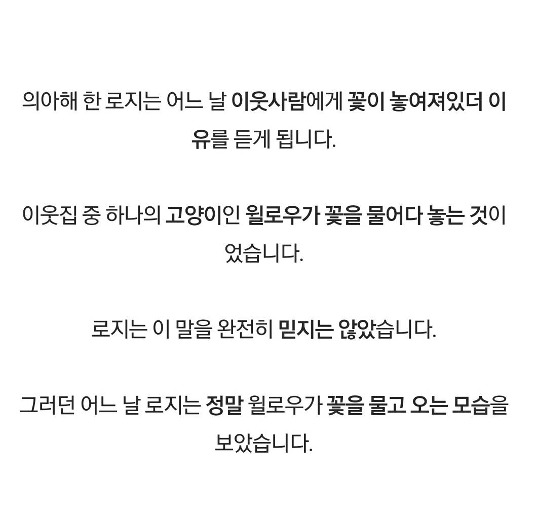 매일 집 현관에 분홍색 꽃이 떨어져 있던 이유.jpg | 인스티즈