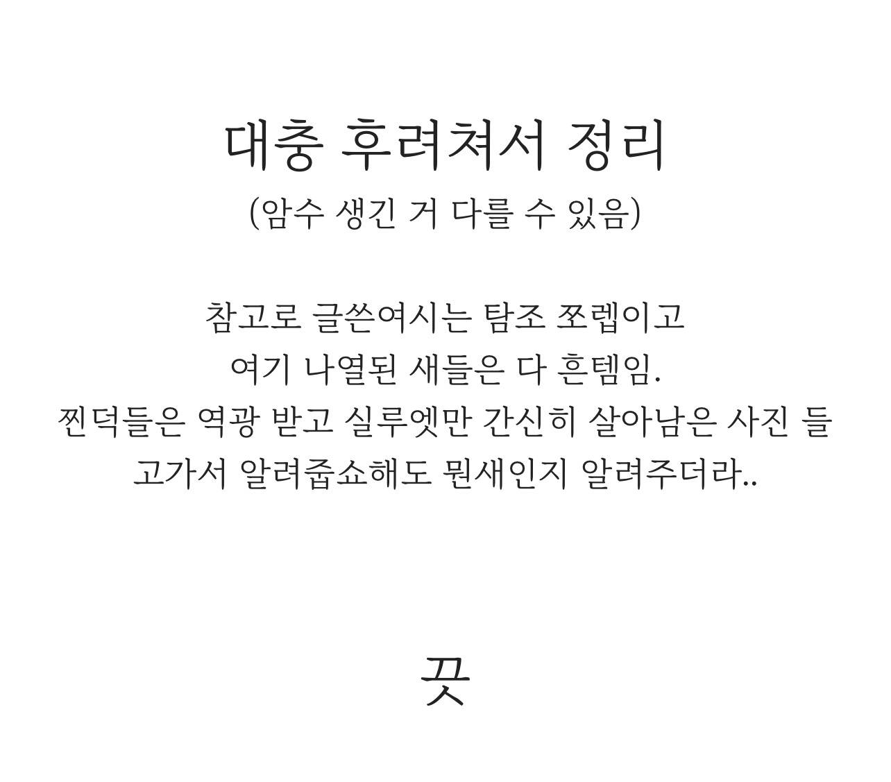 이 새 이름 뭐냐고 정말 궁금해하는 새 투탑 | 인스티즈