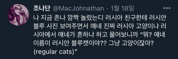 [ 러시아에서는 종도 없이 그냥 "고양이"라는 러시안블루.gif | 인스티즈