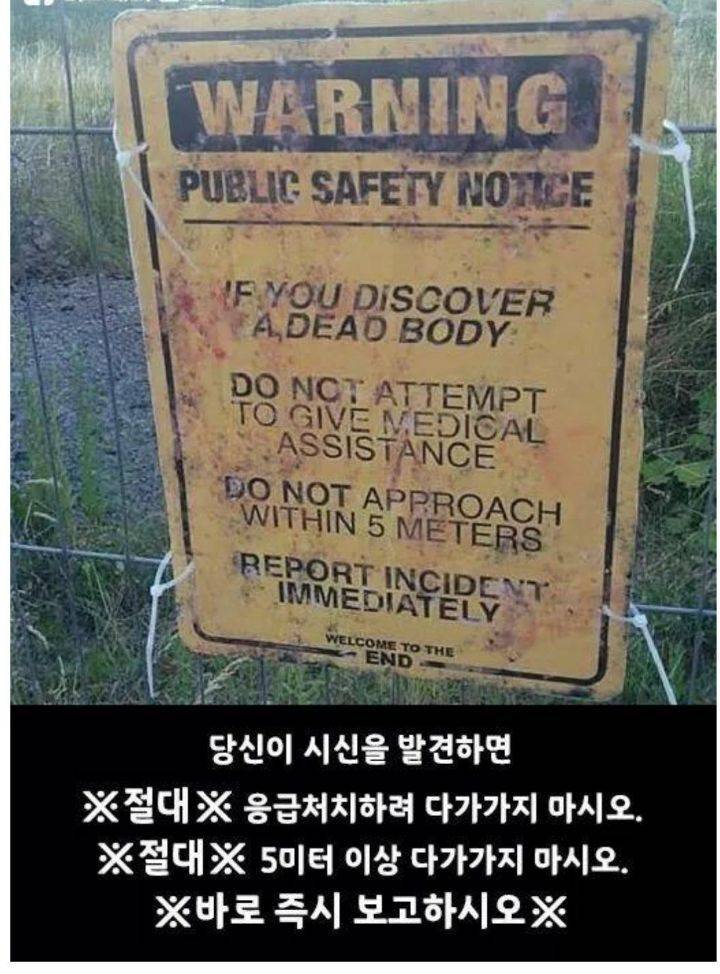 솔직히 귀신 이야기보다 이런 게 더 무서움....jpg | 인스티즈