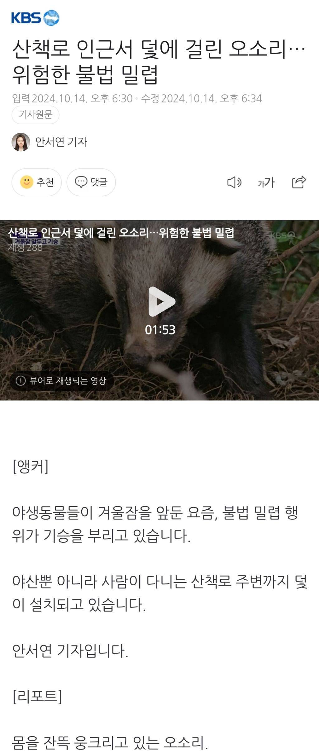 산책로 인근서 덫에 걸린 오소리…위험한 불법 밀렵 | 인스티즈