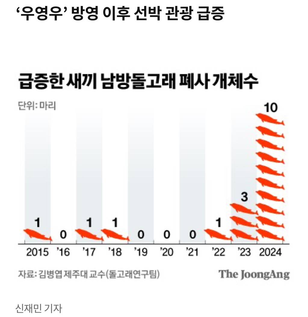 남방큰돌고래 새끼, 태어나는 족족 죽는다…제주 바다에 무슨일 | 인스티즈