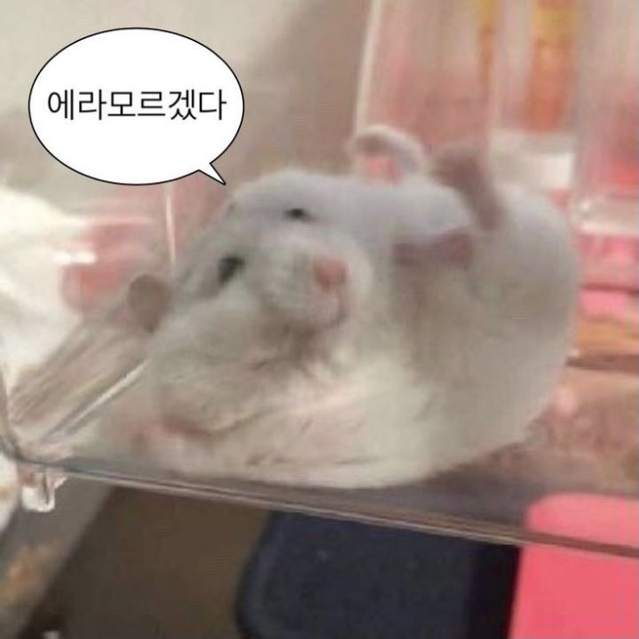 친구랑 라면먹는데 이러면 어떡할거임? 엠비티아이랑 반응 알려줘 | 인스티즈