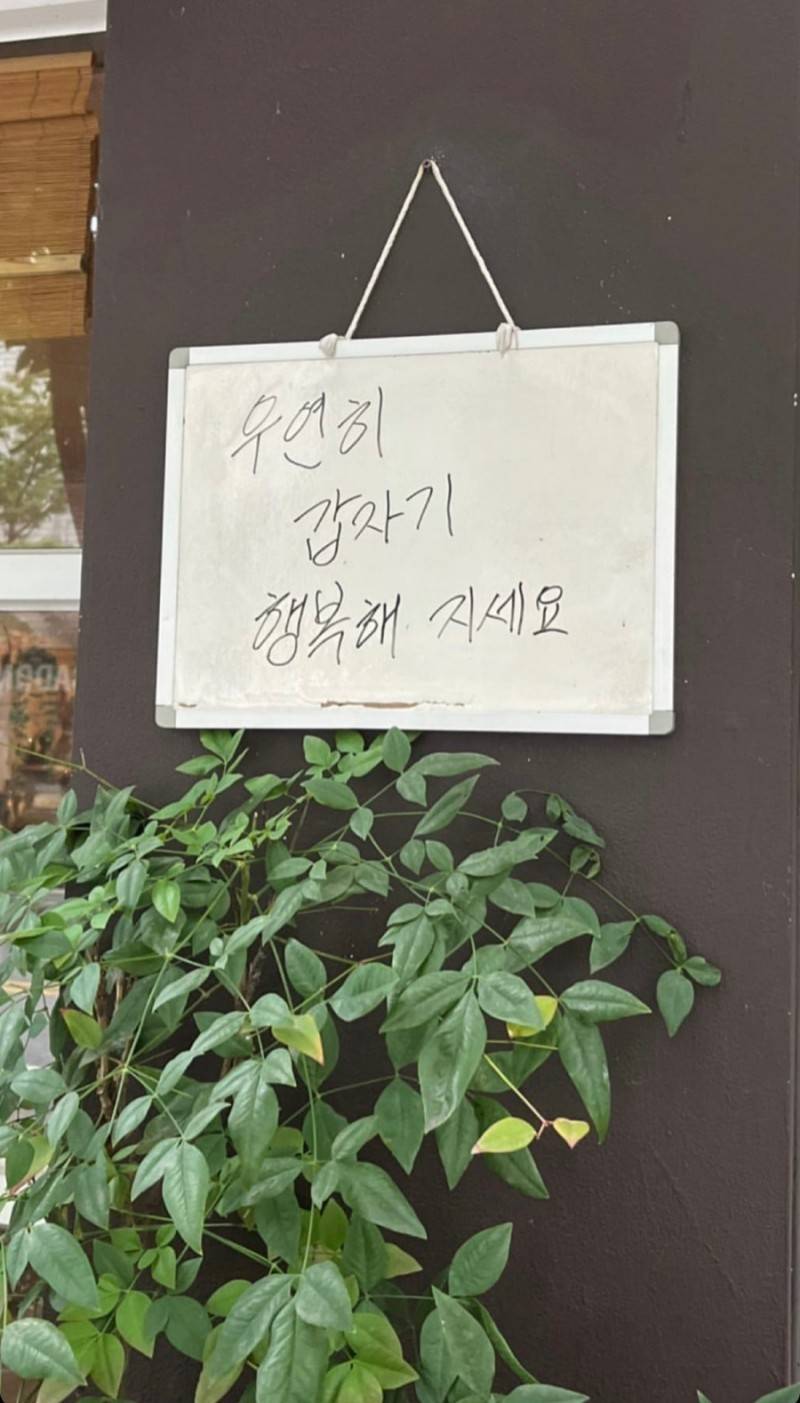 죽고 사는일 아닌 이상 대강 넘기고 오늘을 행복하게 사세요 | 인스티즈