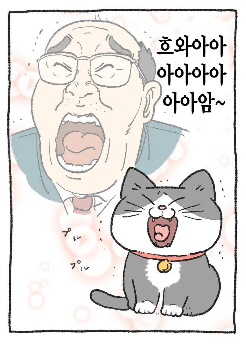 고양이가 되어버린 중년남자.Manhwa | 인스티즈