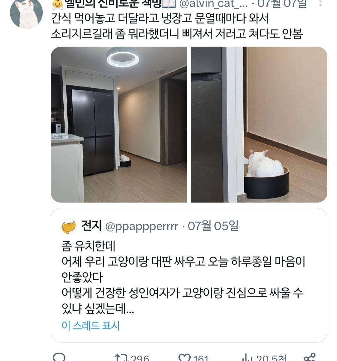 고양이랑 진심으로 싸워서 속상했던 트위터리안.twt | 인스티즈