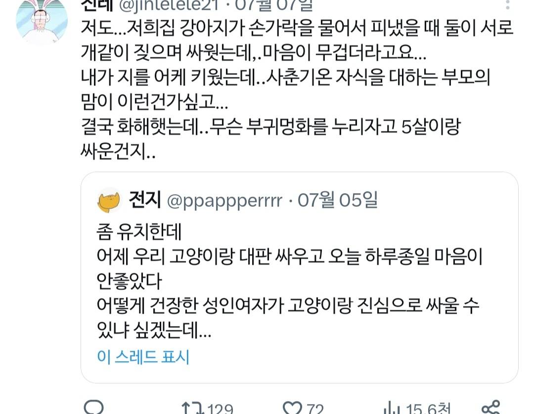 고양이랑 진심으로 싸워서 속상했던 트위터리안.twt | 인스티즈