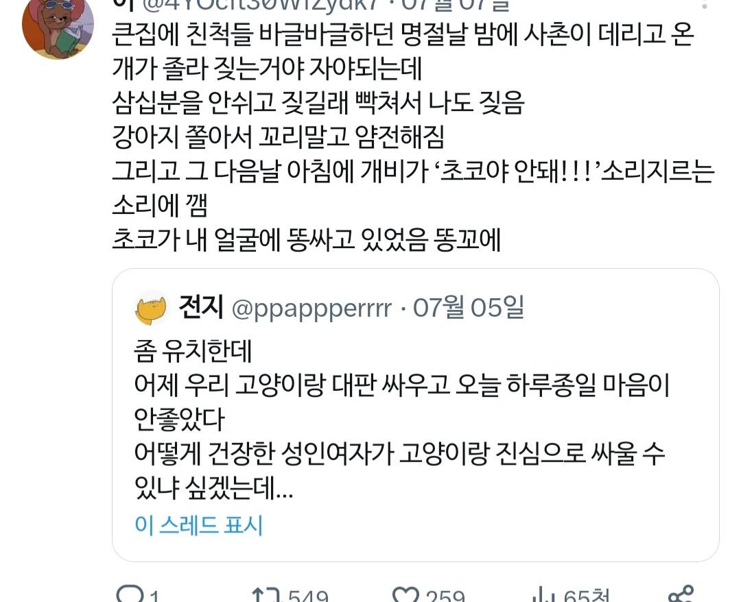 고양이랑 진심으로 싸워서 속상했던 트위터리안.twt | 인스티즈