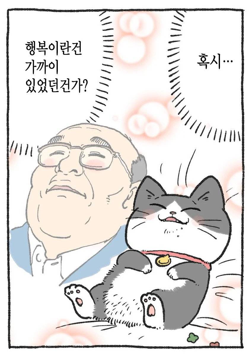 고양이가 되어버린 중년남자.Manhwa | 인스티즈