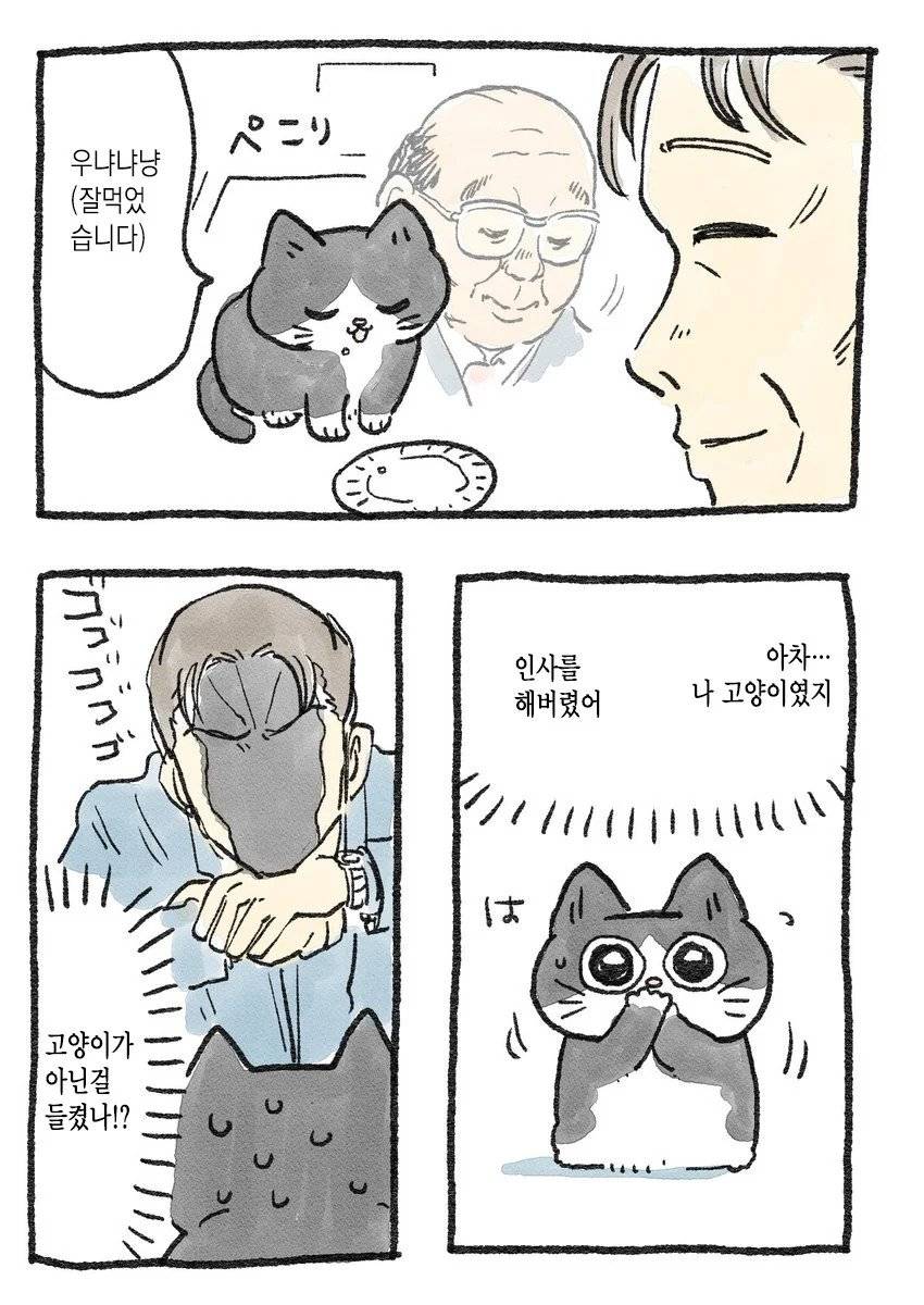 고양이가 되어버린 중년남자.Manhwa | 인스티즈