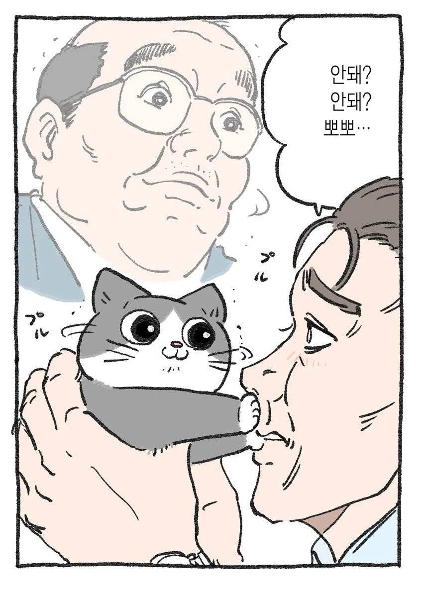 고양이가 되어버린 중년남자.Manhwa | 인스티즈