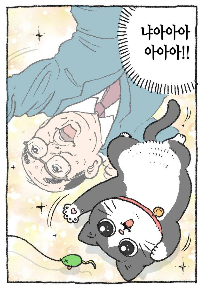 고양이가 되어버린 중년남자.Manhwa | 인스티즈