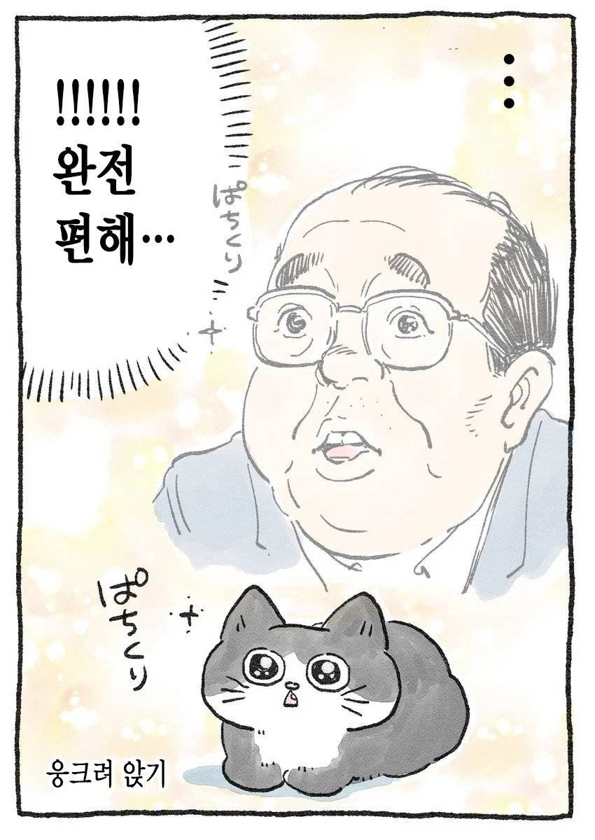 고양이가 되어버린 중년남자.Manhwa | 인스티즈