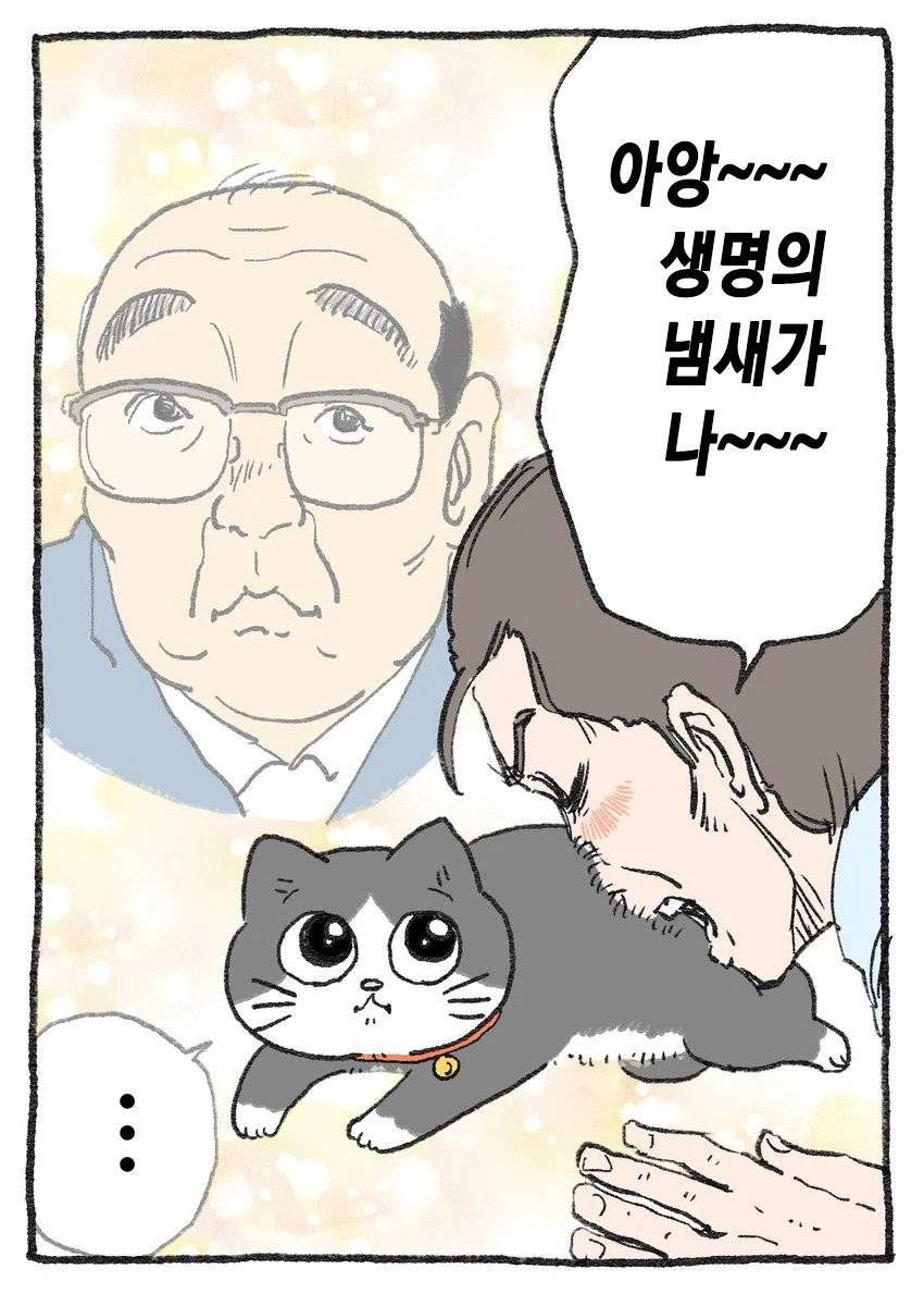 고양이가 되어버린 중년남자.Manhwa | 인스티즈