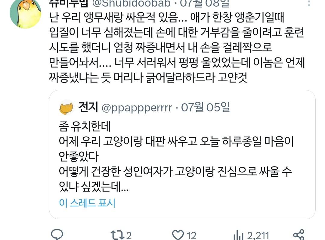 고양이랑 진심으로 싸워서 속상했던 트위터리안.twt | 인스티즈