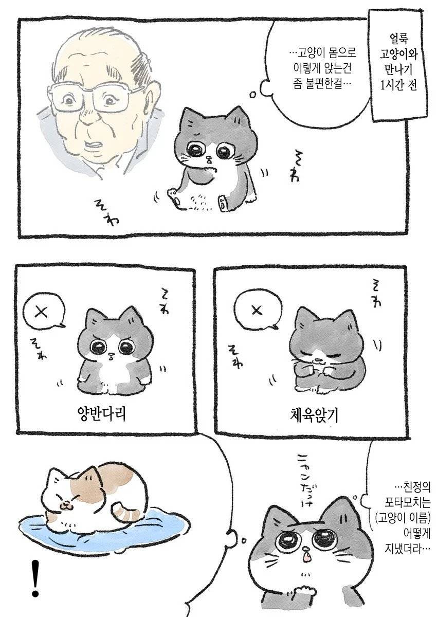 고양이가 되어버린 중년남자.Manhwa | 인스티즈