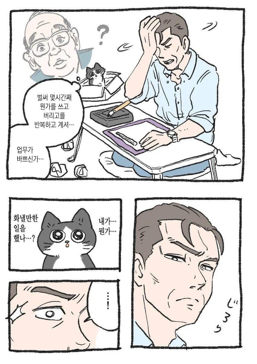 고양이가 되어버린 중년남자.Manhwa | 인스티즈