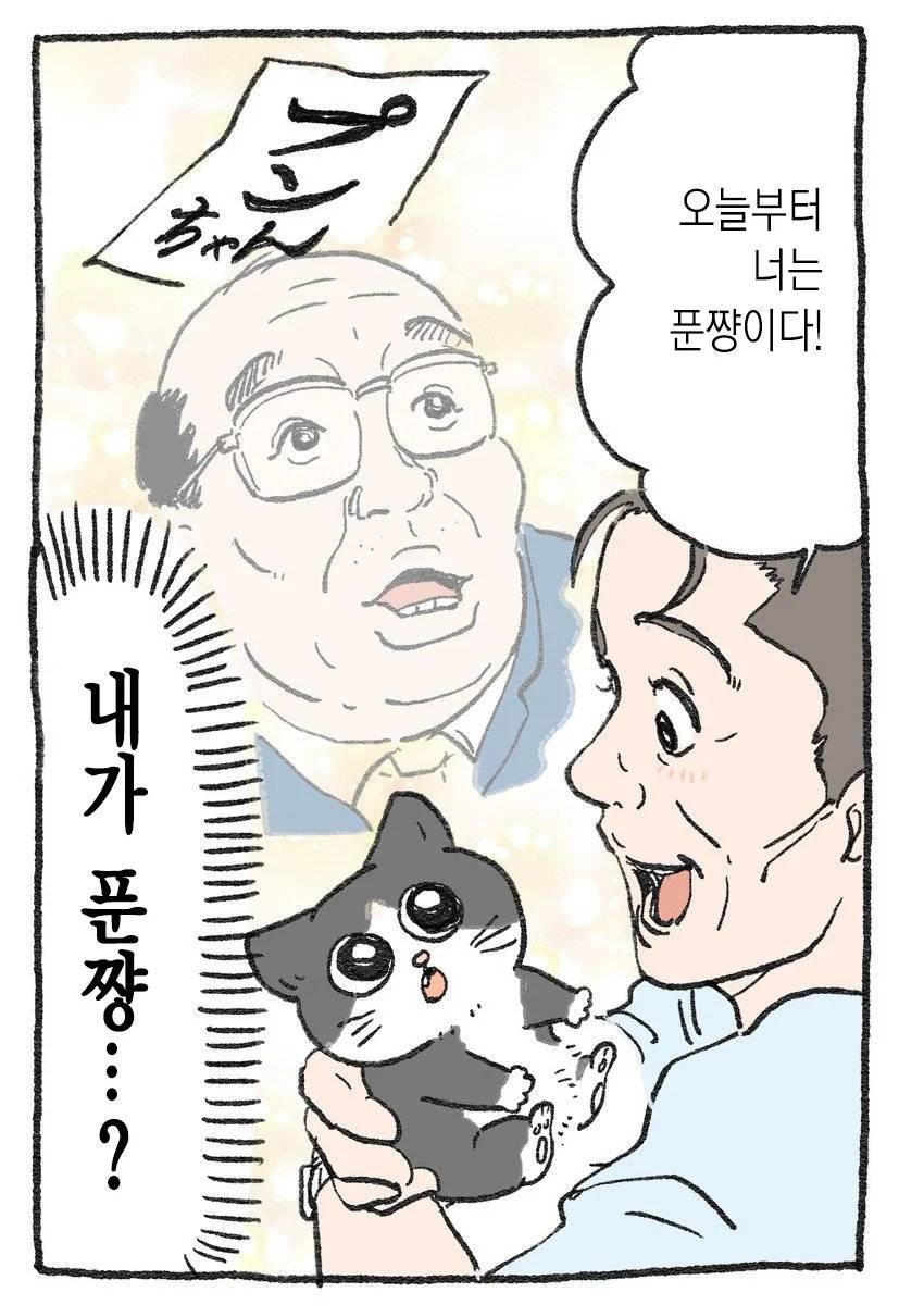 고양이가 되어버린 중년남자.Manhwa | 인스티즈