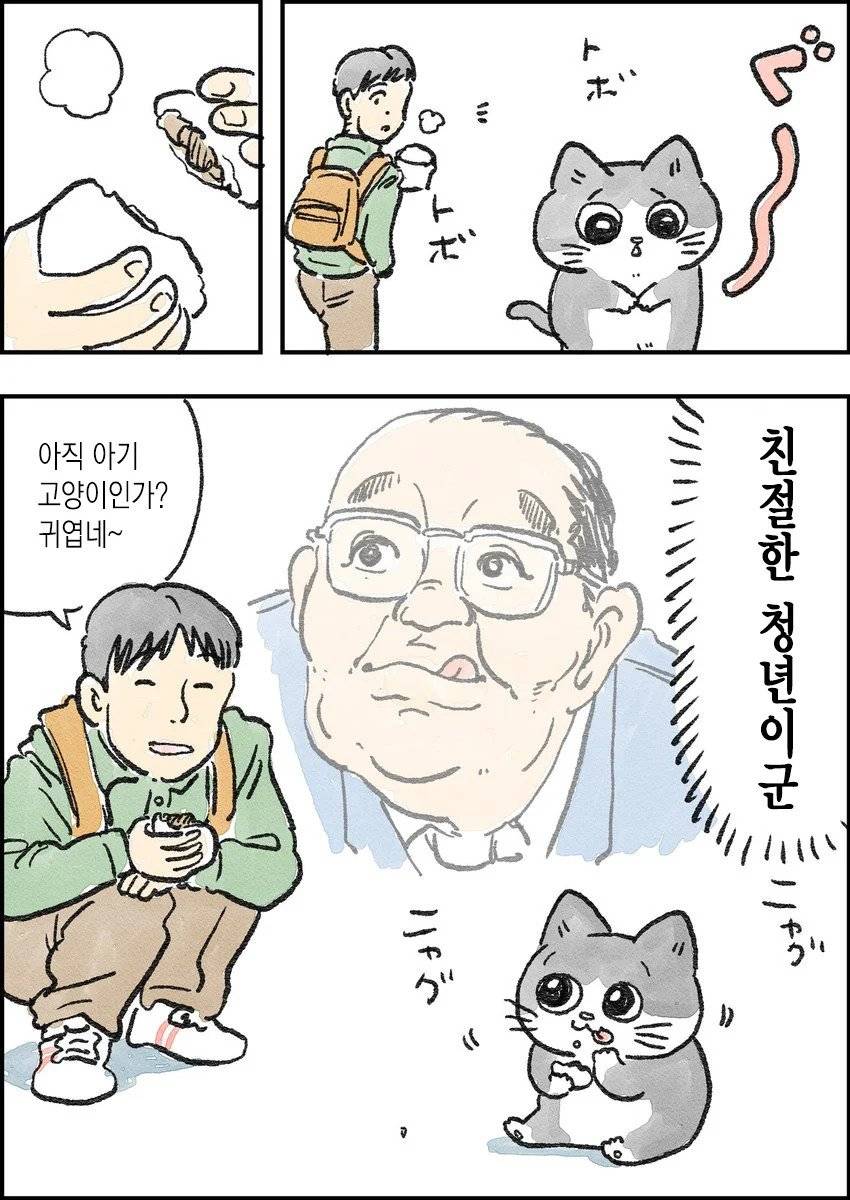 고양이가 되어버린 중년남자.Manhwa | 인스티즈