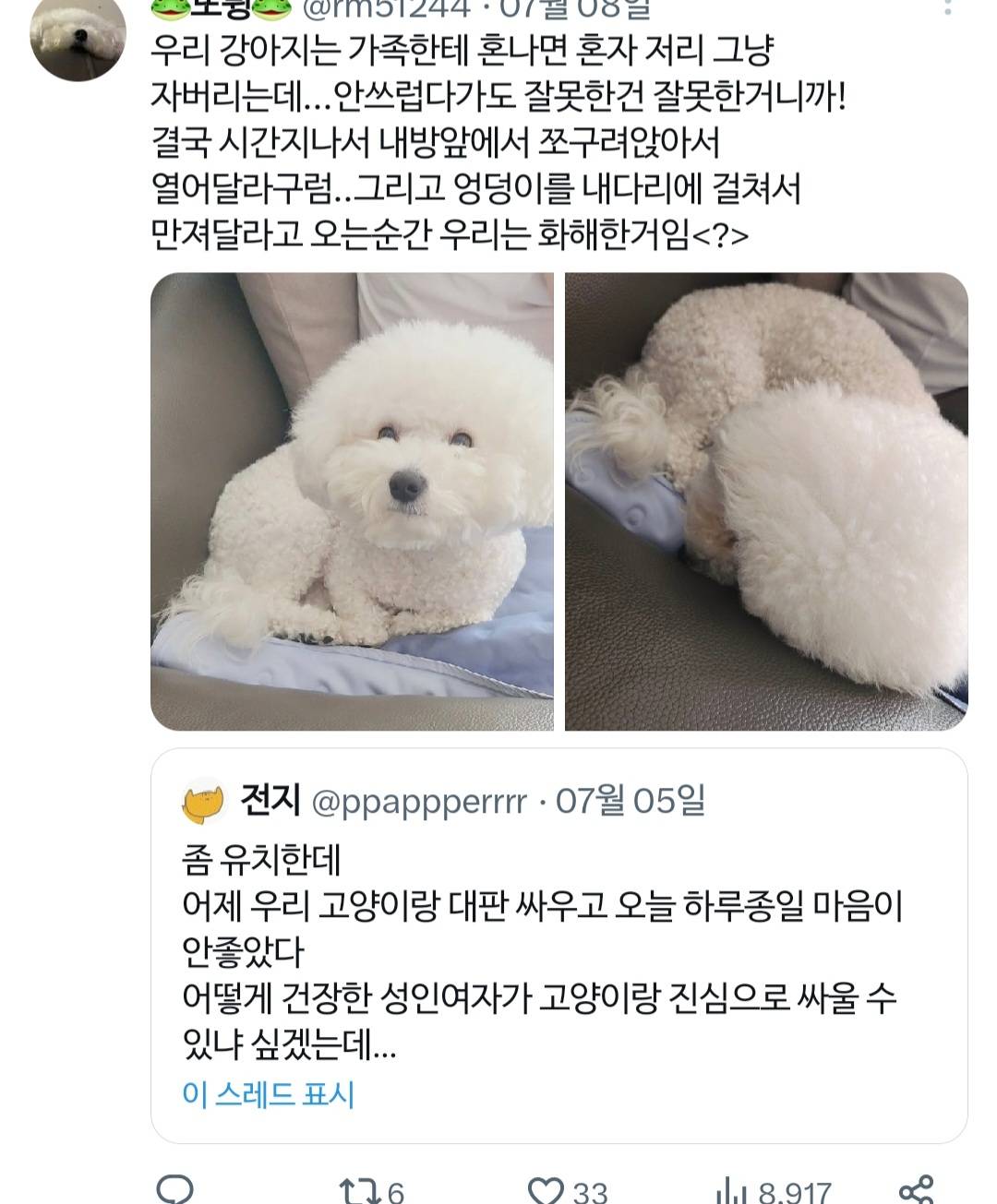 고양이랑 진심으로 싸워서 속상했던 트위터리안.twt | 인스티즈