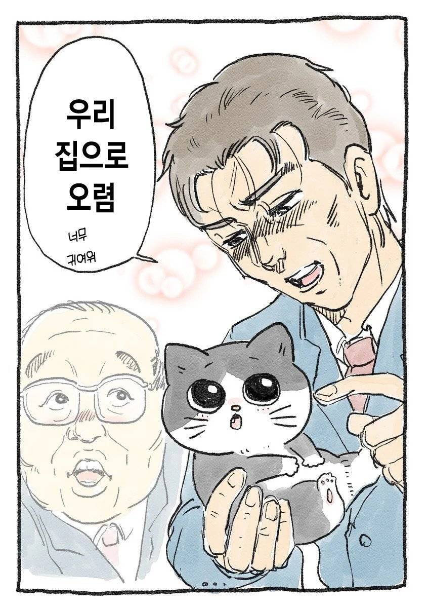 고양이가 되어버린 중년남자.Manhwa | 인스티즈