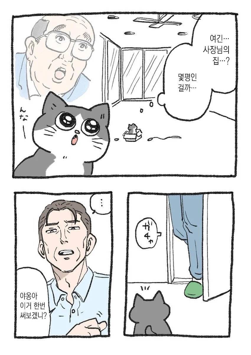 고양이가 되어버린 중년남자.Manhwa | 인스티즈