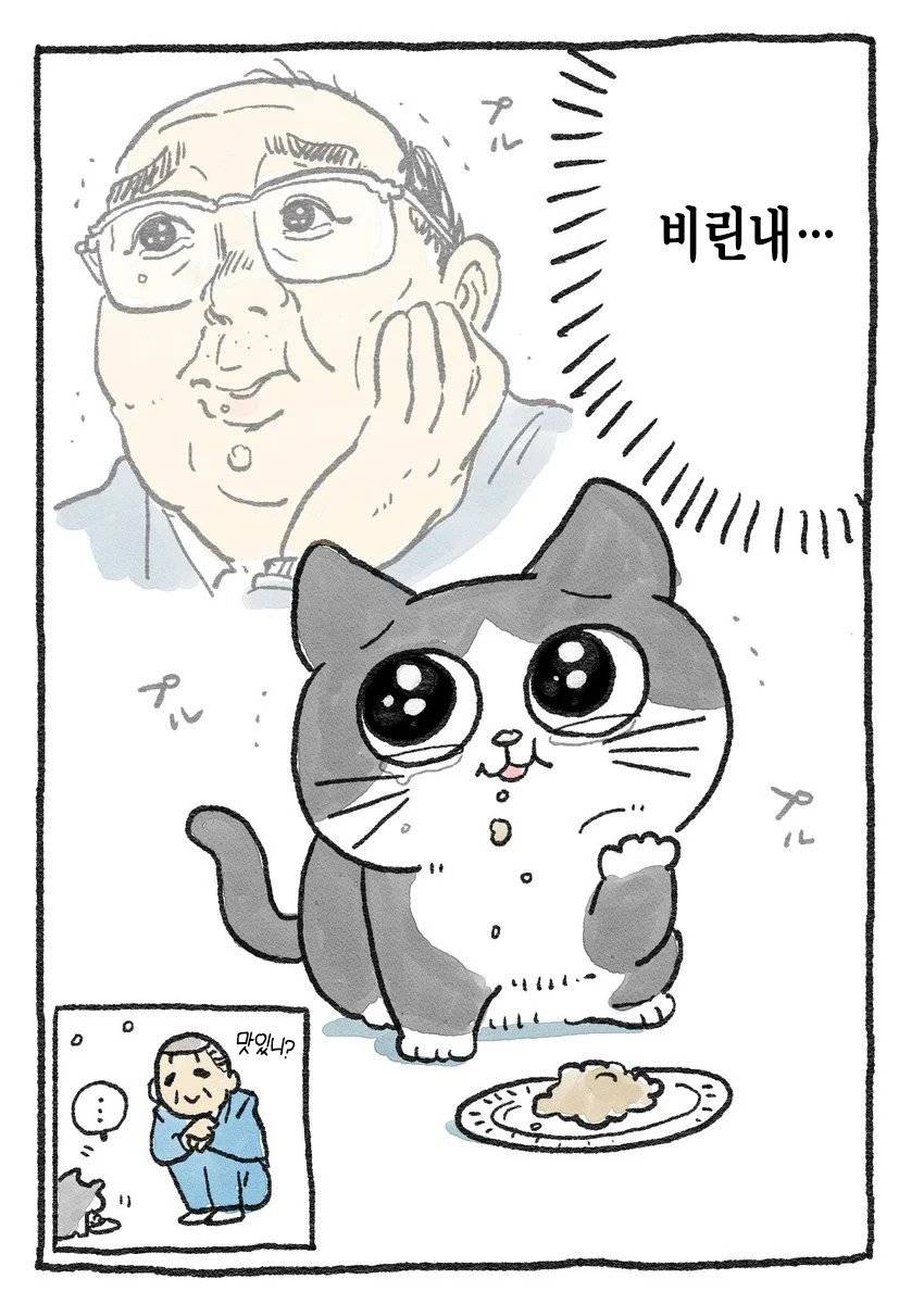 고양이가 되어버린 중년남자.Manhwa | 인스티즈