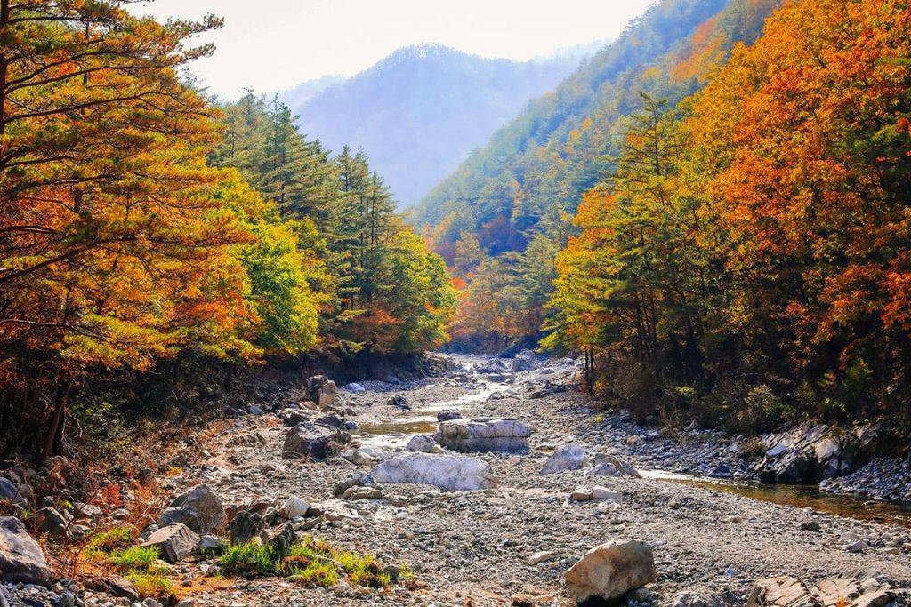 계곡에서 보는 단풍 | 인스티즈