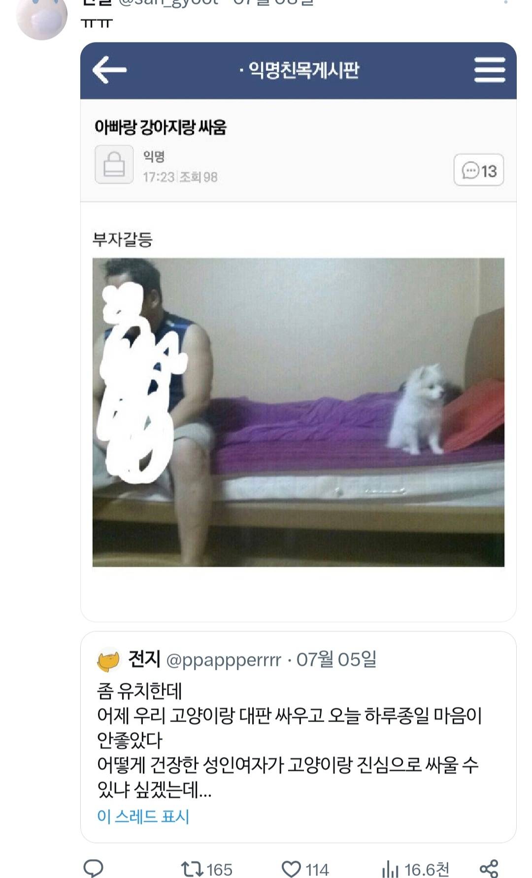 고양이랑 진심으로 싸워서 속상했던 트위터리안.twt | 인스티즈