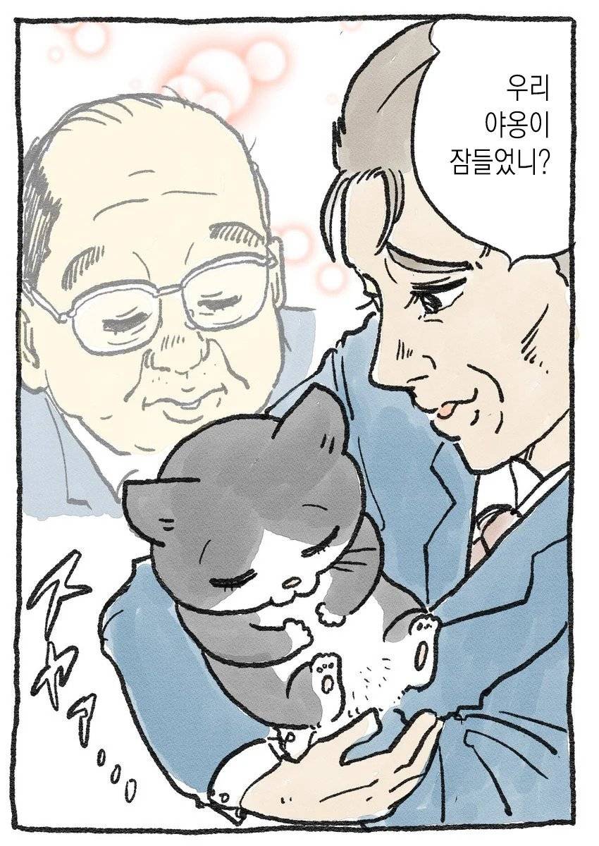 고양이가 되어버린 중년남자.Manhwa | 인스티즈