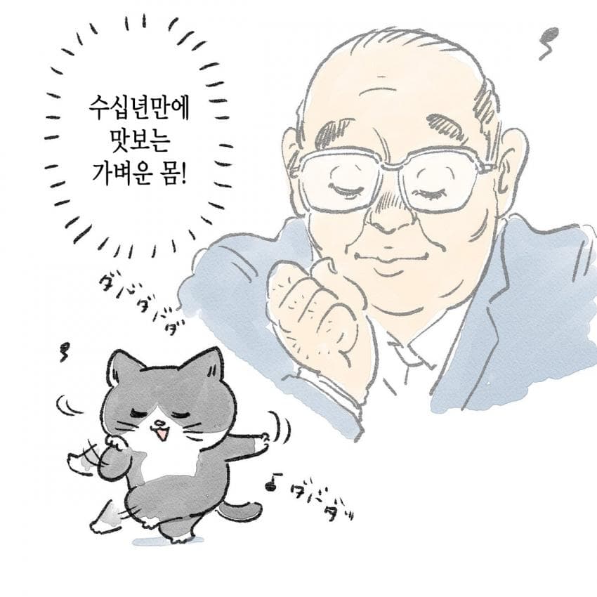 고양이가 되어버린 중년남자.Manhwa | 인스티즈