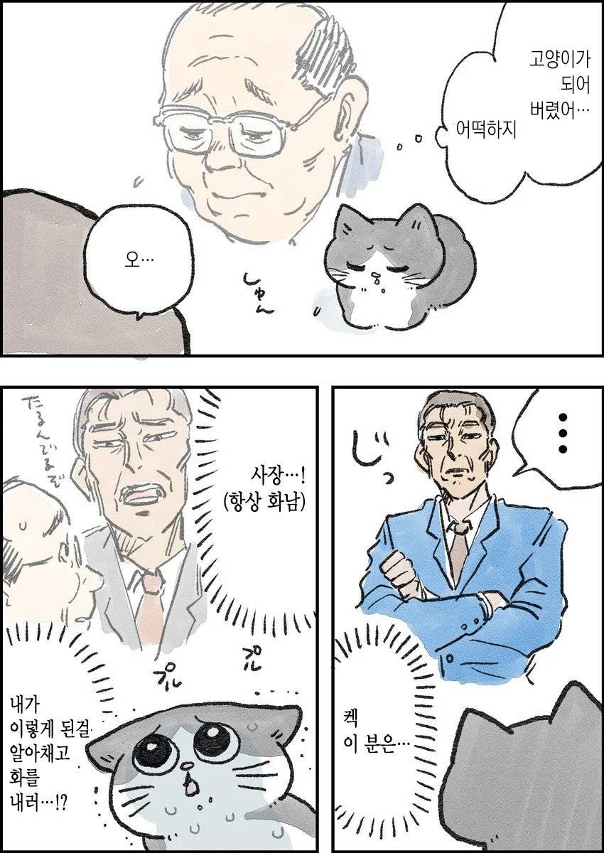 고양이가 되어버린 중년남자.Manhwa | 인스티즈