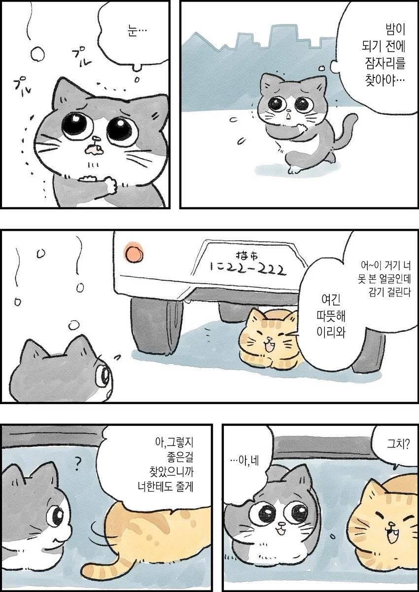 고양이가 되어버린 중년남자.Manhwa | 인스티즈