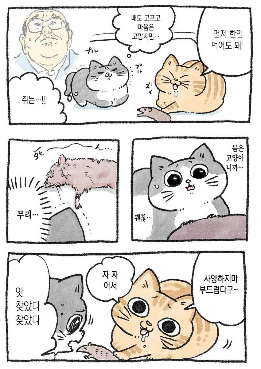 고양이가 되어버린 중년남자.Manhwa | 인스티즈