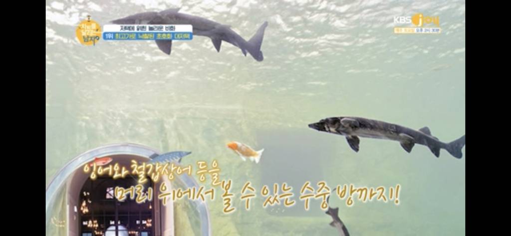 집 경매 사상 최고가에 낙찰된 집.jpg | 인스티즈