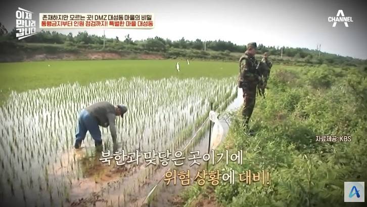 대성동 마을이 북한과 얼마나 가까운지 체감 | 인스티즈