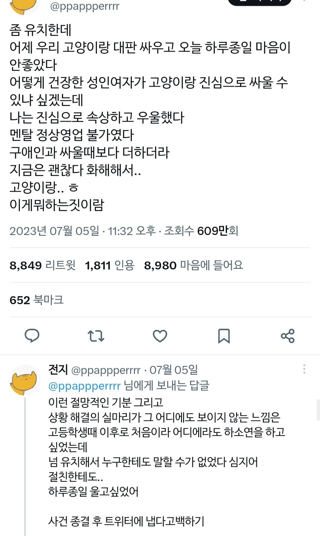 고양이랑 진심으로 싸워서 속상했던 트위터리안.twt | 인스티즈