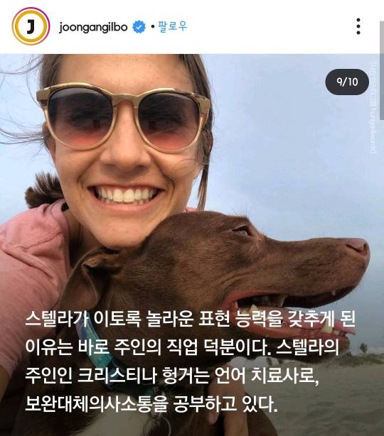 29개 단어로 대화하는 강아지 | 인스티즈