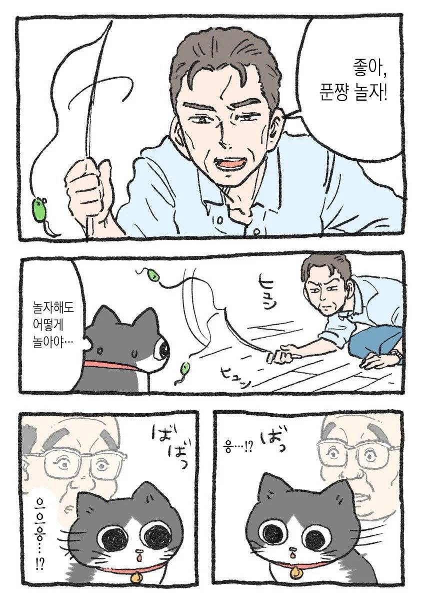 고양이가 되어버린 중년남자.Manhwa | 인스티즈