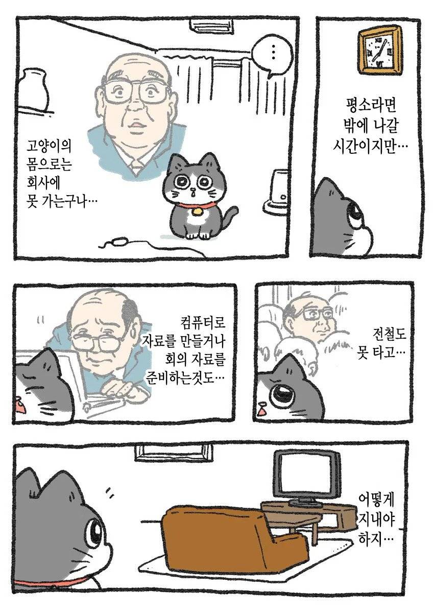 고양이가 되어버린 중년남자.Manhwa | 인스티즈