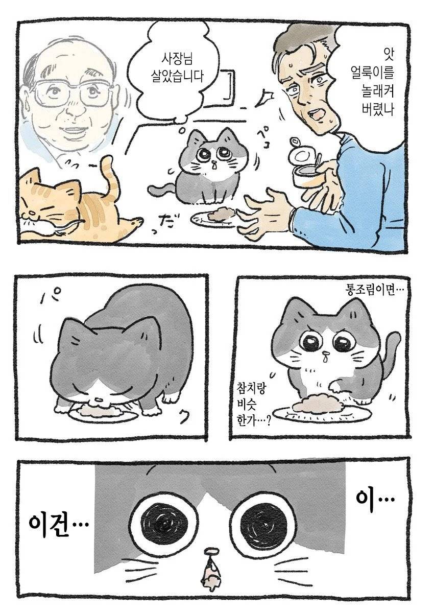 고양이가 되어버린 중년남자.Manhwa | 인스티즈